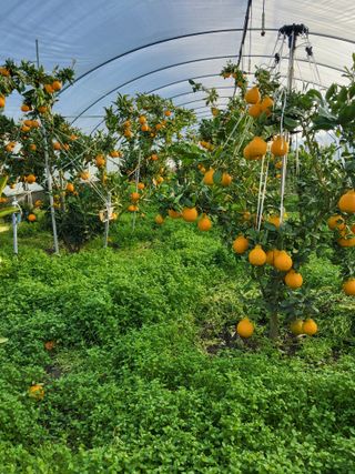 손기백님의 작성글 사진