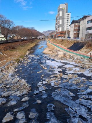 MSG0074님의 자유주제 · 자유게시판 작성글 사진