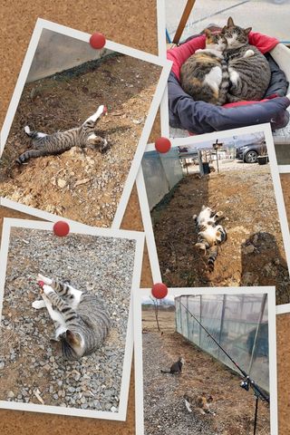 가로수님의 자유주제 · 자유게시판 작성글 사진