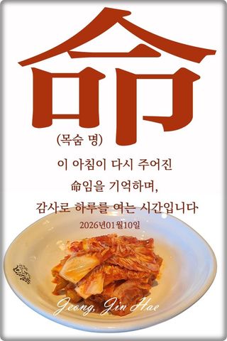 정진해님의 자유주제·자유게시판 작성글 사진