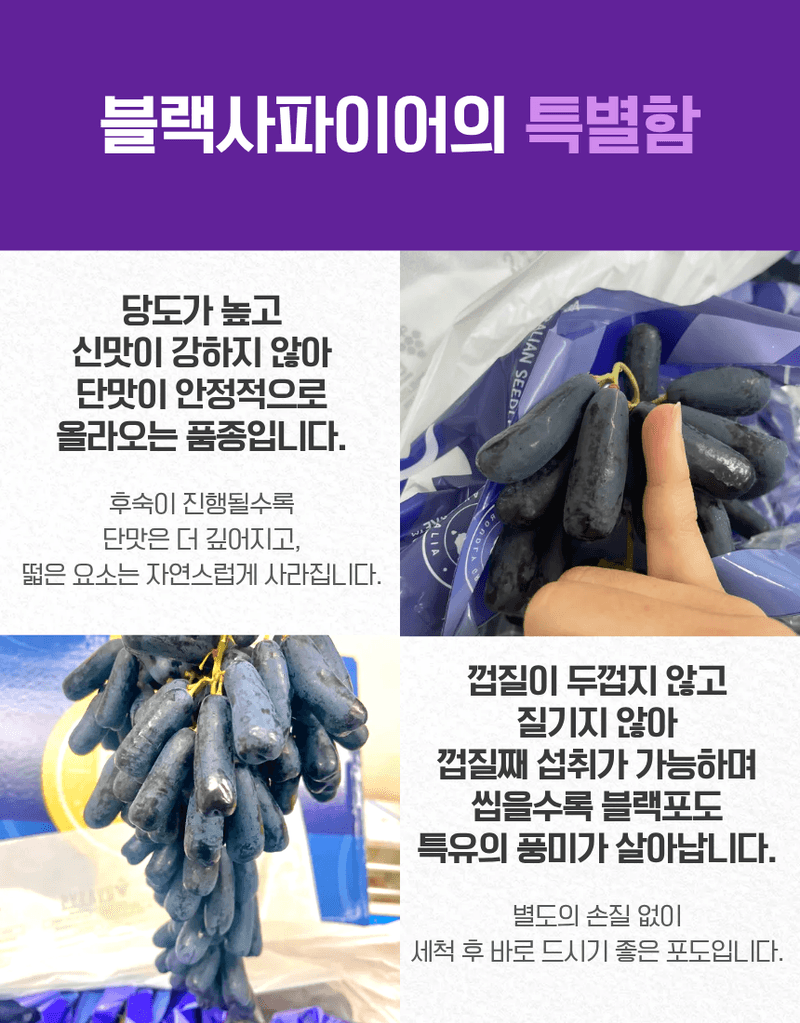 과일팩토리님의 장터 판매 상품 [블랙사파이어 포도 고당도 이색 수입포도 500g/1kg/2kg/4kg/8.2kg] 첨부 사진