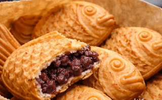 MSG0074님의 자유주제 · 자유게시판 작성글 사진