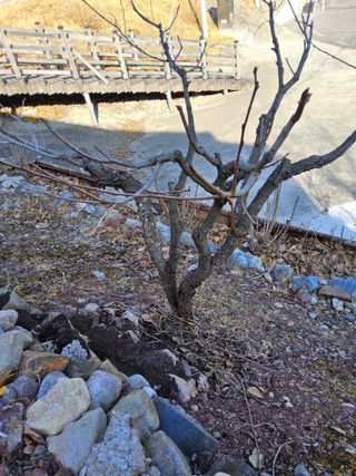 김용대님의 자유주제 · 자유게시판 작성글 사진