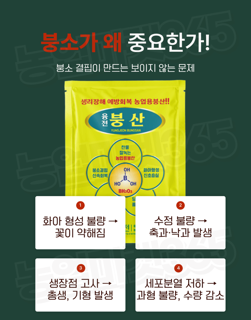 농업마켓365님의 장터 판매 상품 [농업마켓365 융전 붕산 수용제 500g 배추 무우 붕소 생리장해 갓 양배추 감자 고구마 마늘 바람들이 미량요소] 첨부 사진