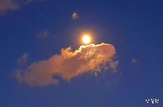 안길원님의 자유주제 · 자유게시판 작성글 사진