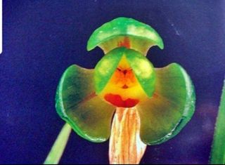 시금치20540님의 작성글 사진