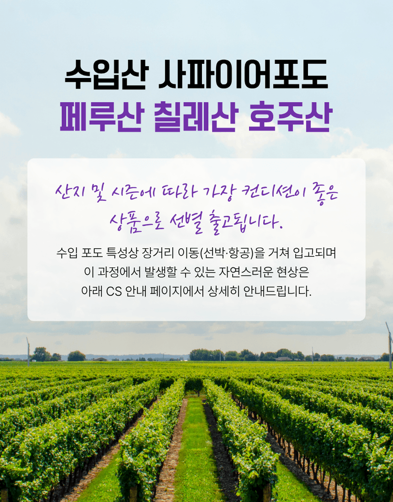 과일팩토리님의 장터 판매 상품 [블랙사파이어 포도 고당도 이색 수입포도 500g/1kg/2kg/4kg/8.2kg] 첨부 사진