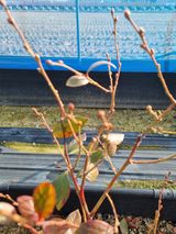 김동만님의 자유주제·자유게시판 작성글 사진