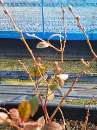 김동만님의 자유주제 · 자유게시판 작성글 사진