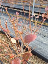 김동만님의 자유주제·자유게시판 작성글 사진