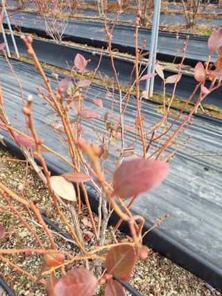 김동만님의 자유주제 · 자유게시판 작성글 사진