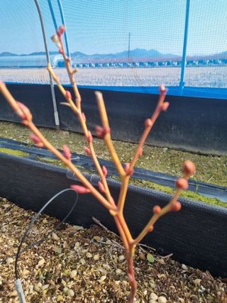 김동만님의 자유주제 · 자유게시판 작성글 사진