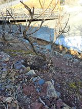 팜모닝 자유주제·자유게시판 게시글 이미지