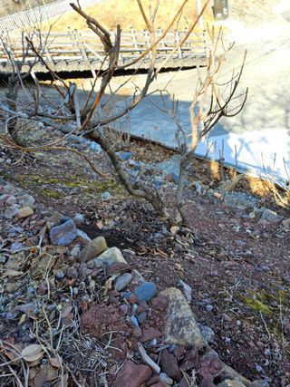 김용대님의 자유주제 · 자유게시판 작성글 사진