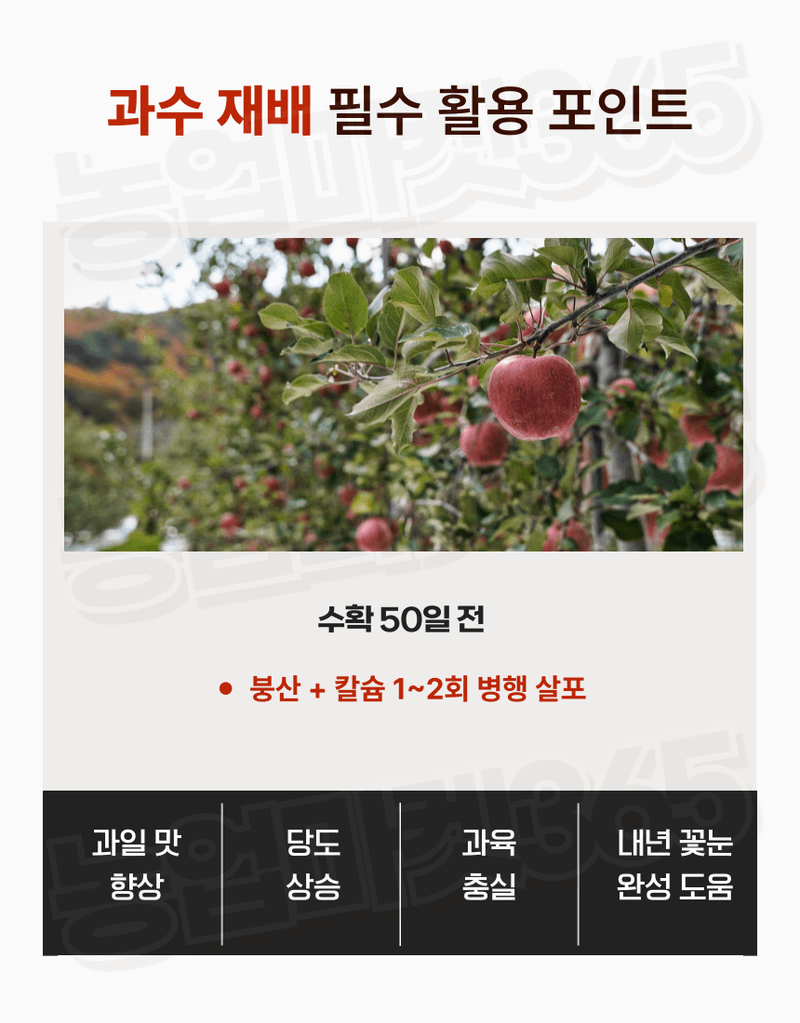 농업마켓365님의 장터 판매 상품 [농업마켓365 융전 붕산 수용제 500g 배추 무우 붕소 생리장해 갓 양배추 감자 고구마 마늘 바람들이 미량요소] 첨부 사진