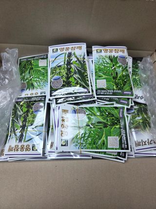 대산농사대장님의 참깨 · 자유게시판 작성글 사진