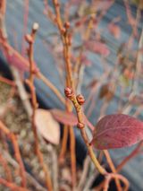 팜모닝 자유주제·자유게시판 게시글 이미지