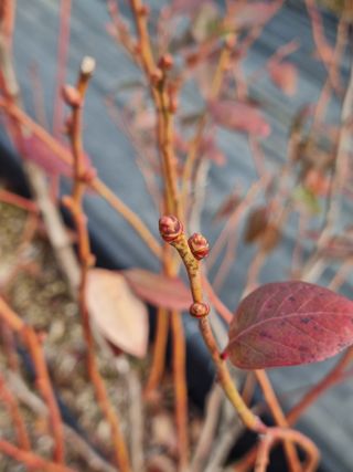 김동만님의 자유주제·자유게시판 작성글 사진