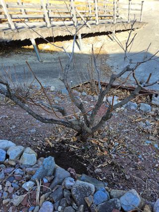 김용대님의 자유주제 · 자유게시판 작성글 사진