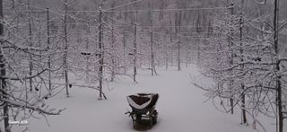 강동민님의 자유주제·자유게시판 작성글 사진