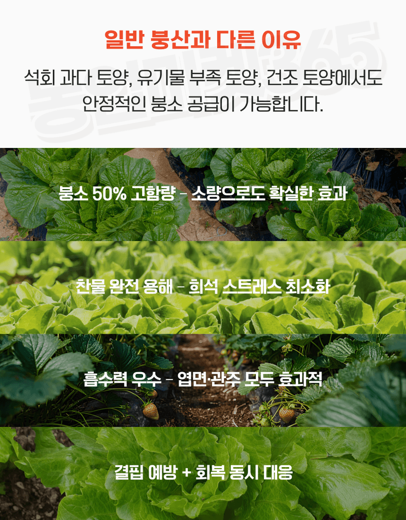 농업마켓365님의 장터 판매 상품 [농업마켓365 융전 붕산 수용제 500g 배추 무우 붕소 생리장해 갓 양배추 감자 고구마 마늘 바람들이 미량요소] 첨부 사진