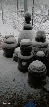 강동민님의 자유주제·자유게시판 작성글 사진