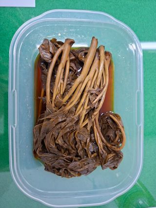 자연같이님의 자유주제 · 자유게시판 작성글 사진