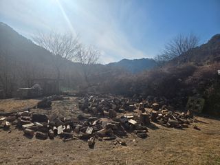 강원사랑인님의 자유주제·자유게시판 작성글 사진