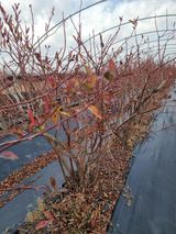 팜모닝 자유주제·자유게시판 게시글 이미지