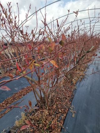 김동만님의 자유주제 · 자유게시판 작성글 사진