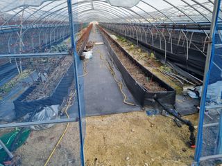 김동만님의 자유주제 · 자유게시판 작성글 사진