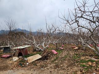 박사도사님의 자유주제 · 자유게시판 작성글 사진