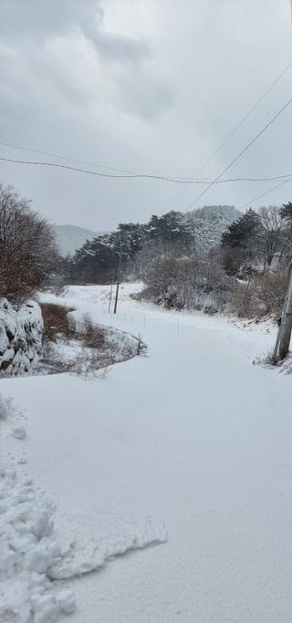 호랑이와인성이님의 자유주제 · 자유게시판 작성글 사진