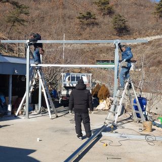 가로수님의 자유주제 · 자유게시판 작성글 사진