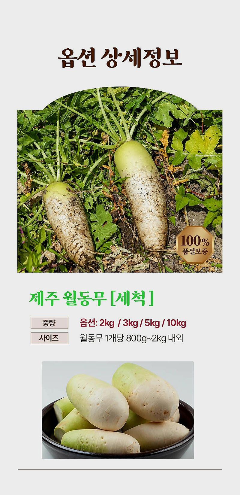 자두14488님의 장터 판매 상품 [국내산 무우 제주 월동무 10kg] 첨부 사진