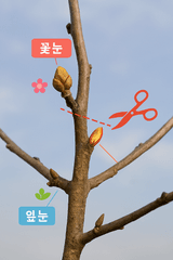 팜모닝 자유주제·자유게시판 게시글 이미지