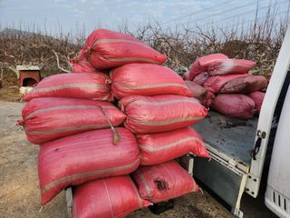 박사도사님의 자유주제 · 자유게시판 작성글 사진