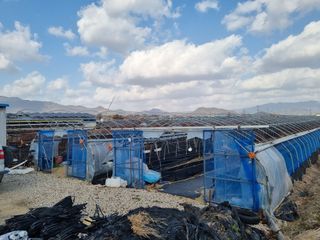 김동만님의 자유주제 · 자유게시판 작성글 사진