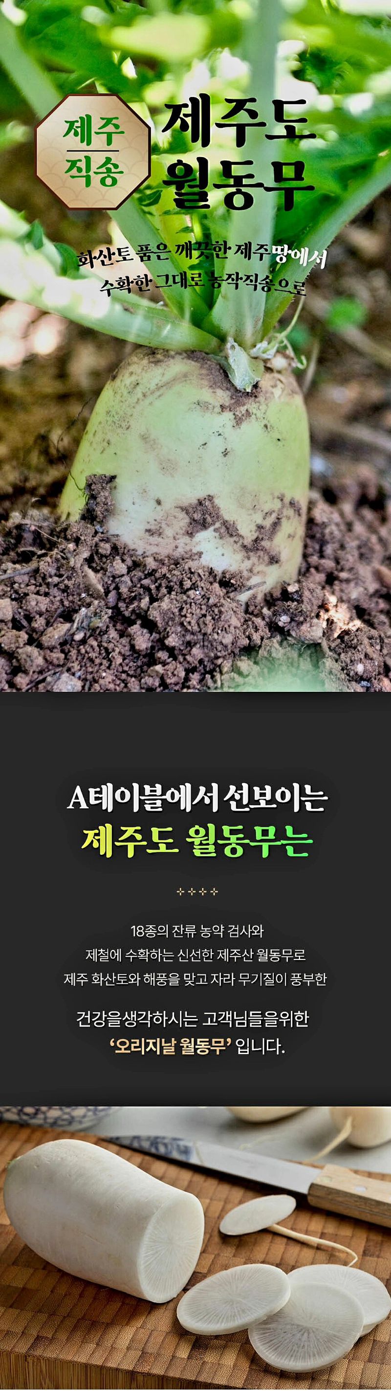 자두14488님의 장터 판매 상품 [국내산 무우 제주 월동무 10kg] 첨부 사진