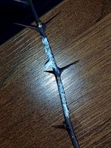 몽자아빠님의 자유주제·자유게시판 작성글 사진