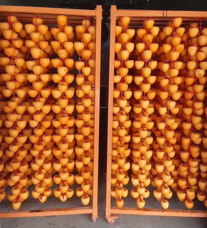 한상섭님의 장터 판매 상품 [상주곶감 선물세트(감동1호)] 첨부 사진