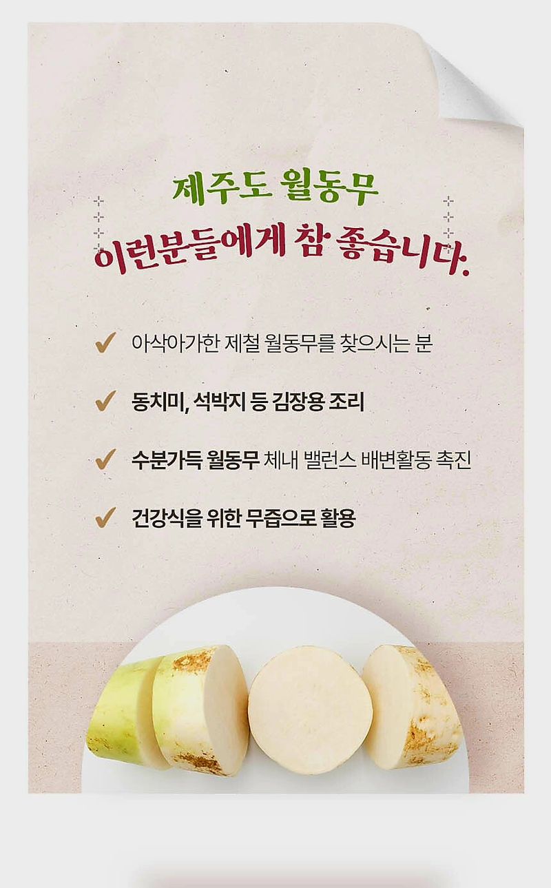 자두14488님의 장터 판매 상품 [국내산 무우 제주 월동무 10kg] 첨부 사진