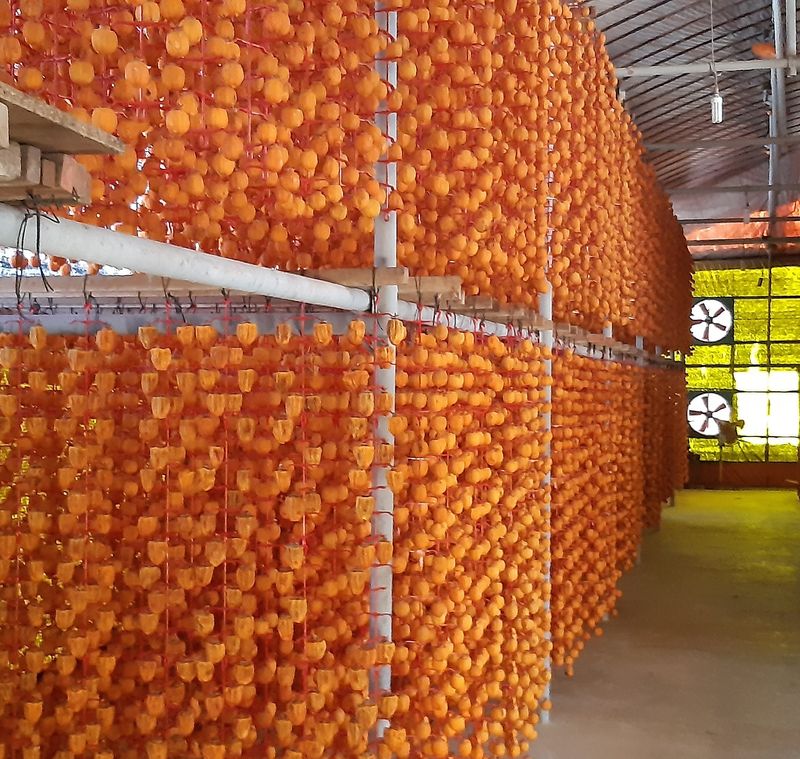 한상섭님의 장터 판매 상품 [상주곶감 선물세트(감동1호)] 첨부 사진