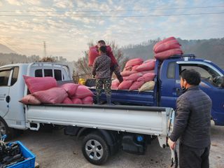 박사도사님의 자유주제 · 자유게시판 작성글 사진