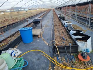 김동만님의 자유주제 · 자유게시판 작성글 사진