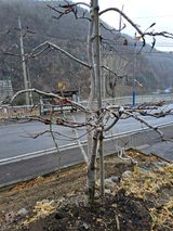 팜모닝 자유주제·자유게시판 게시글 이미지