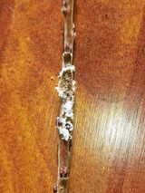 팜모닝 자유주제·자유게시판 게시글 이미지