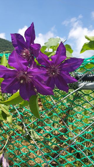 오다가다님의 작성글 사진