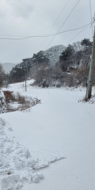 호랑이와인성이님의 자유주제 · 자유게시판 작성글 사진