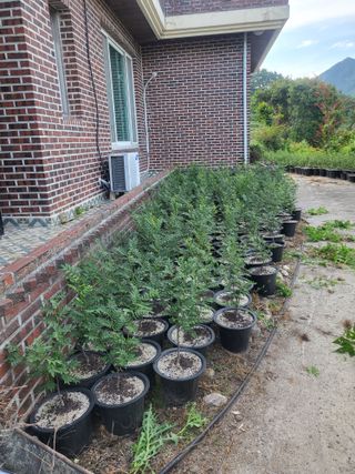 진주 민초피 농원님의 작성글 사진